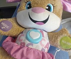 Fisher price play and learn