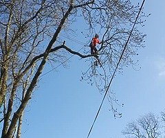 Tree surgeons