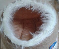 cat cave trixie priced to sell  .