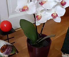 Candles & Artifical flower in pot.all new. - Image 9/10