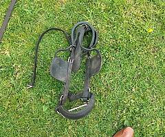 Harness