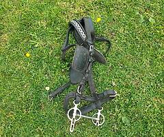Harness