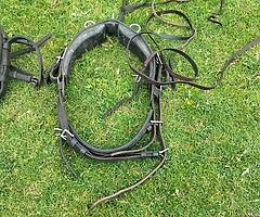 Harness - Image 3/5