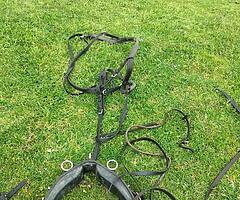 Harness - Image 4/5