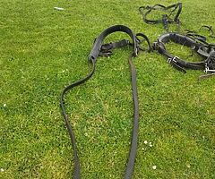 Harness - Image 5/5
