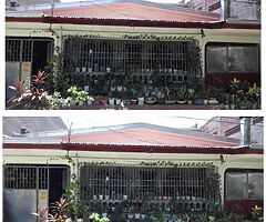 for sale - Image 9/9