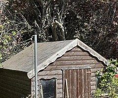 Gardening - Image 5/10