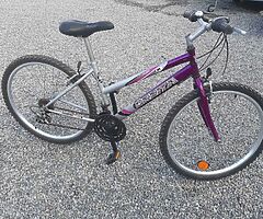 Bicycle