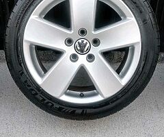17" Monte Carlos