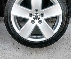 17" Monte Carlos - Image 5/6