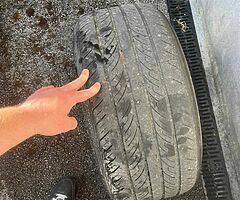 Tiger claws - Image 7/8