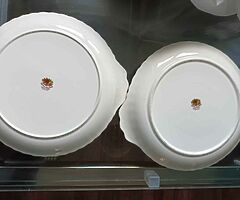 Rojal Albert bone china country Rose pates.