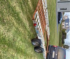 Car transporter - Image 3/5