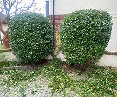Gardeners