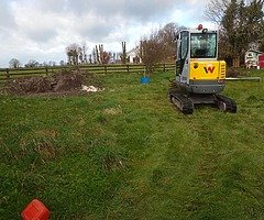 Summer clean up - Image 5/5