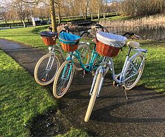 LADIES CITY BIKE + BASKET - 7 Shimmano Gears - DELIVERY 