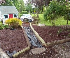 Summer clean up - Image 3/6