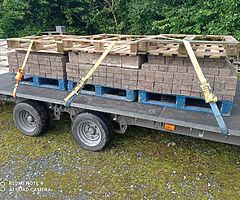 Patio brick or drive way - Image 9/9