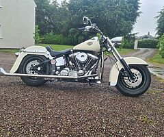 Harley softail S&S evo motor
