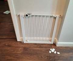 Safety gates