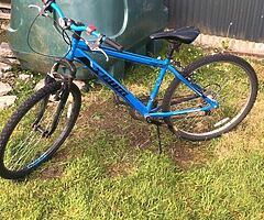 Bike for sale