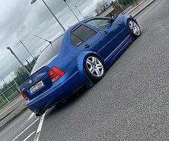 Raven blue bora