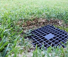 Garden maintenance - Image 3/5