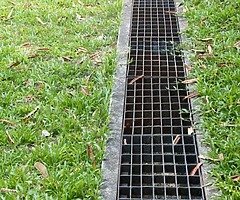 Garden maintenance - Image 4/5