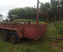 8x4 Builder's Trailer - Image 5/5