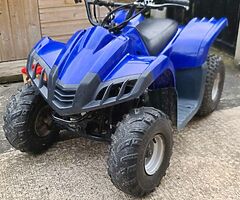 2019 Dinli Dino 50cc Quad  ....