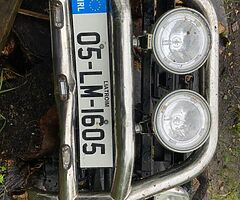 Caddy bullbar and spot lamps