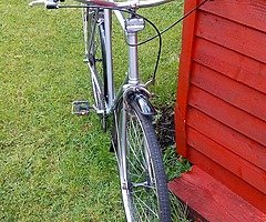 Triumph gents bicycle - Image 9/9