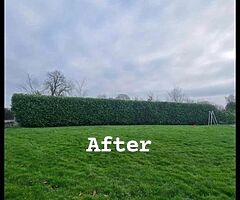Everlast gardening service