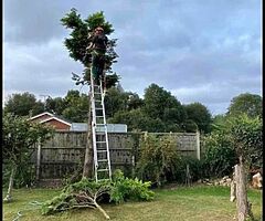 Everlast gardening service