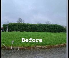 Everlast gardening service - Image 9/9