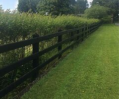 D rail fence