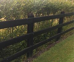 D rail fence