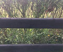D rail fence - Image 4/4