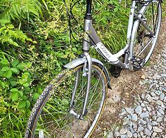 Apollo Etienne Ladies Bike