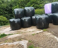 round Bale good quality haylage