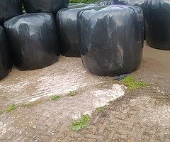 round Bale good quality haylage