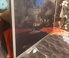 Samsung TV smart