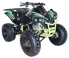 New ace 125 cc ATV quad