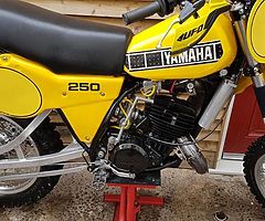 YZ 250 H 1981