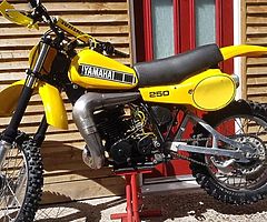 YZ 250 H 1981 - Image 6/6