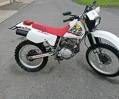 Honda xlr 125 2000 - Image 5/5