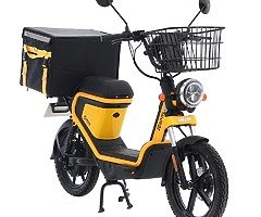 Electric scooter GEV2000