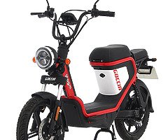 Electric scooter GEV2000