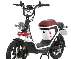 Electric scooter GEV2000