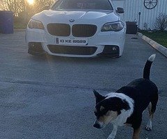 520D Msport - Image 4/8